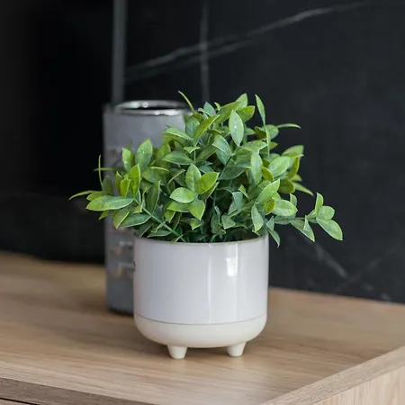 Bookowska بوزنان